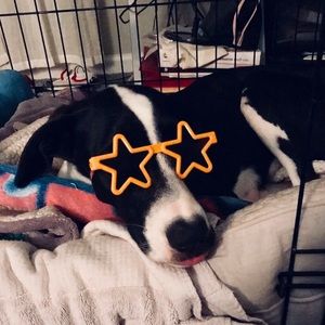 Meet your Posher, Jolayne